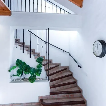 Casa Velha *